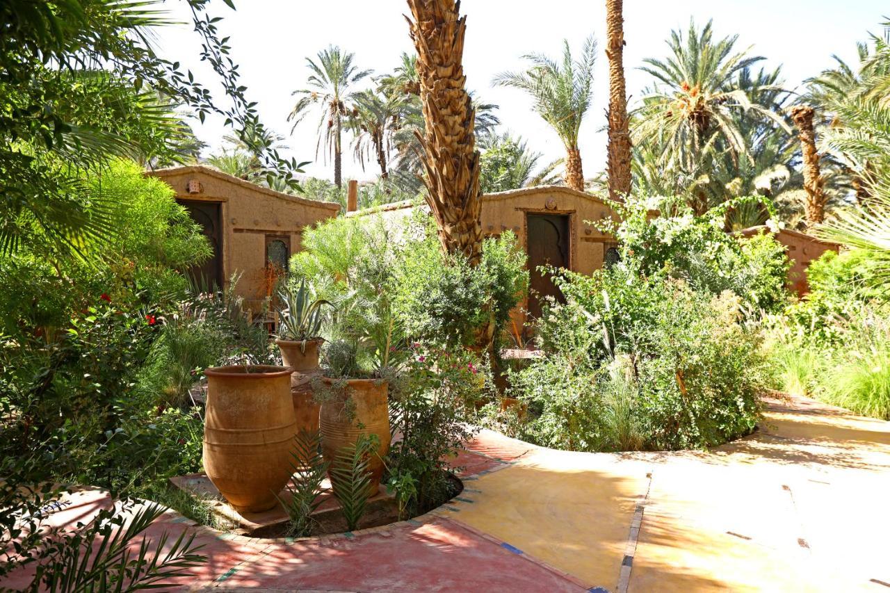 Ecolodge Bab El Oued Maroc Oasis Agdz Exteriör bild
