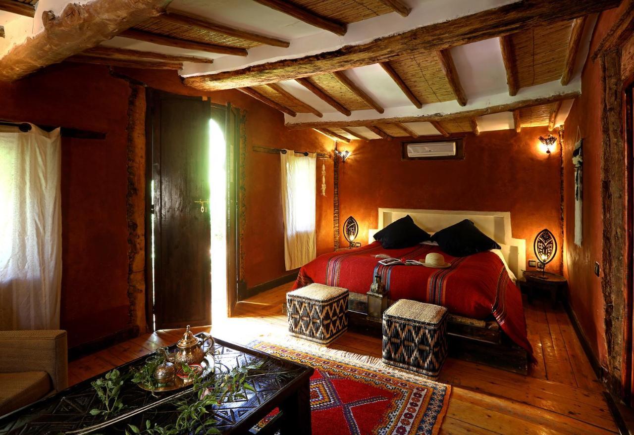 Ecolodge Bab El Oued Maroc Oasis Agdz Exteriör bild