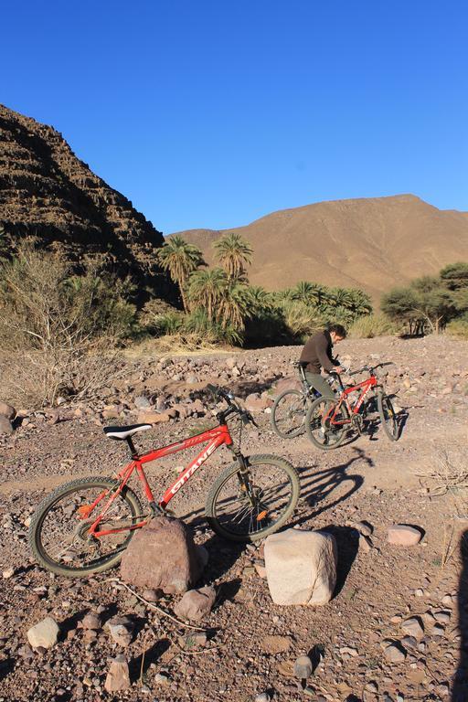 Ecolodge Bab El Oued Maroc Oasis Agdz Exteriör bild
