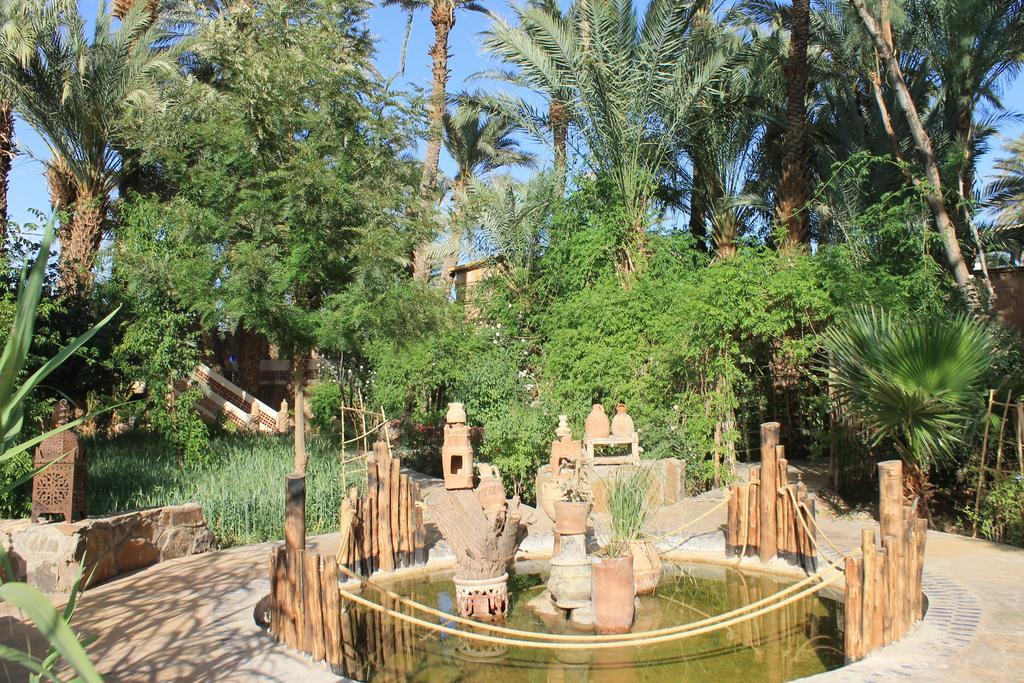 Ecolodge Bab El Oued Maroc Oasis Agdz Exteriör bild