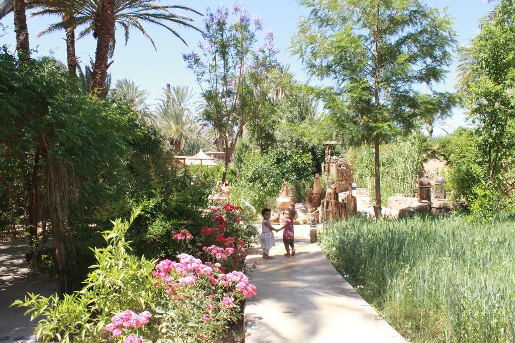 Ecolodge Bab El Oued Maroc Oasis Agdz Exteriör bild