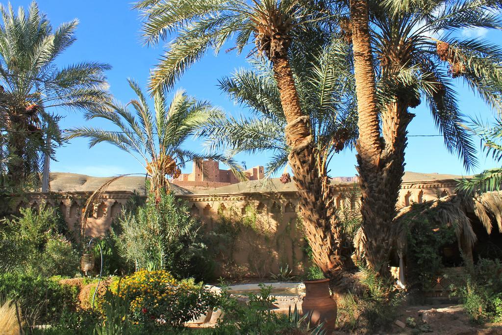 Ecolodge Bab El Oued Maroc Oasis Agdz Exteriör bild