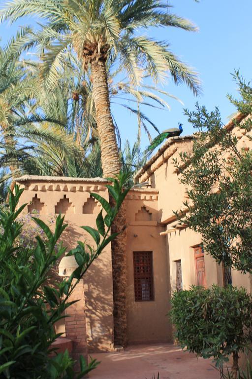 Ecolodge Bab El Oued Maroc Oasis Agdz Rum bild