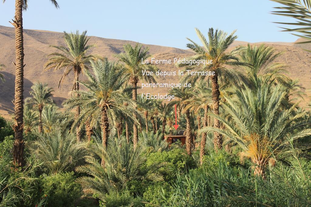 Ecolodge Bab El Oued Maroc Oasis Agdz Exteriör bild