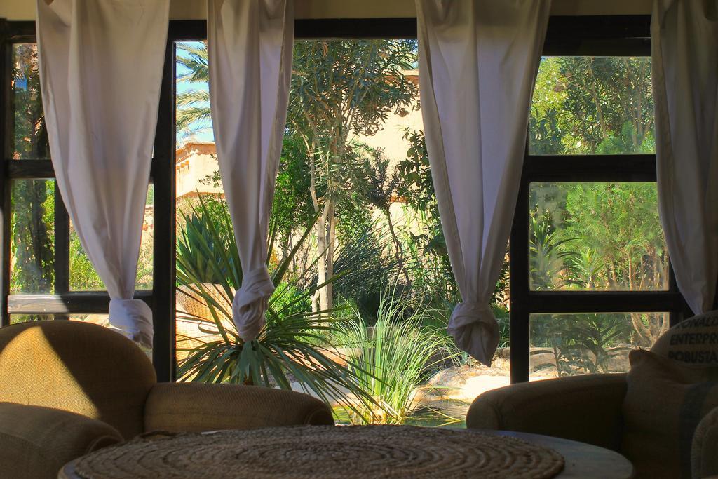 Ecolodge Bab El Oued Maroc Oasis Agdz Exteriör bild