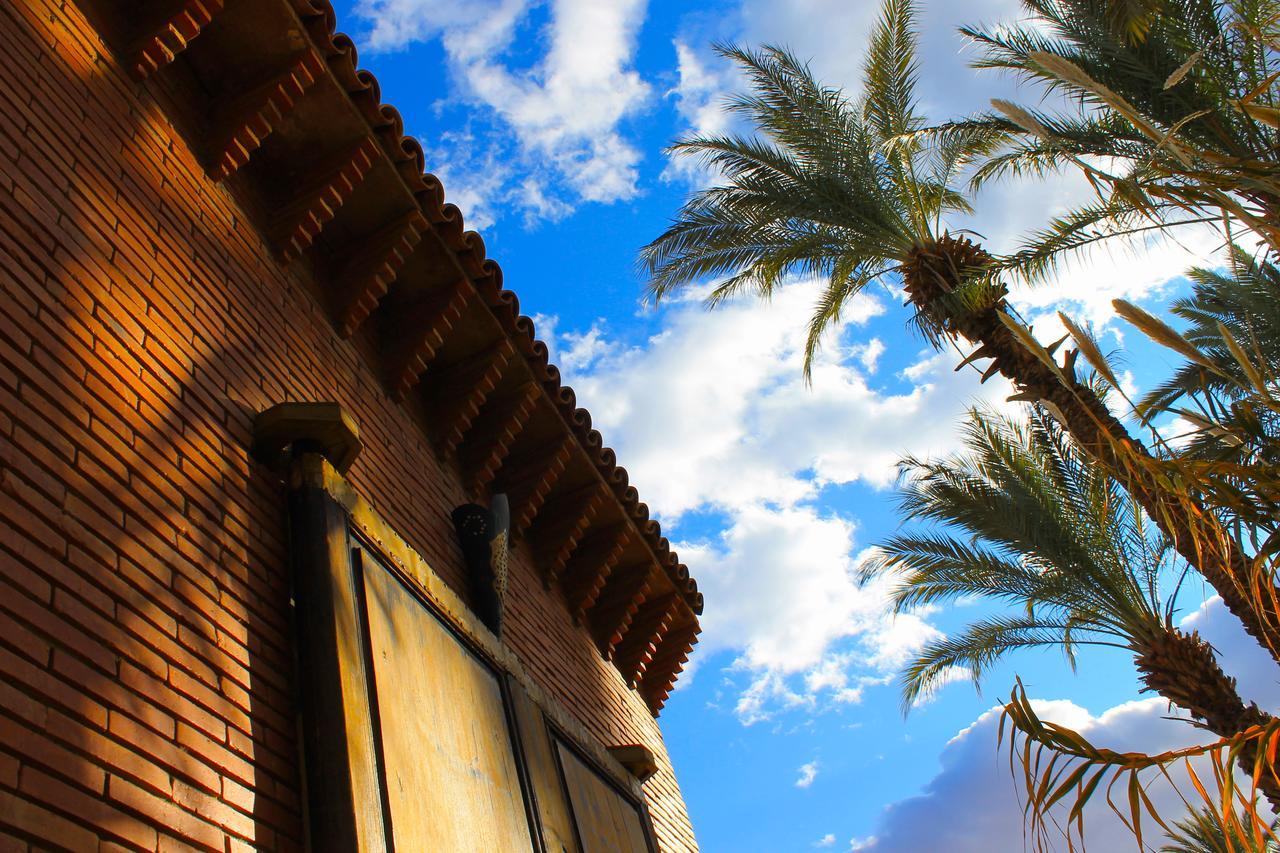 Ecolodge Bab El Oued Maroc Oasis Agdz Exteriör bild