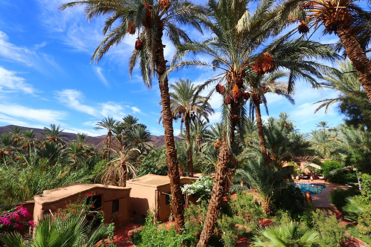 Ecolodge Bab El Oued Maroc Oasis Agdz Exteriör bild
