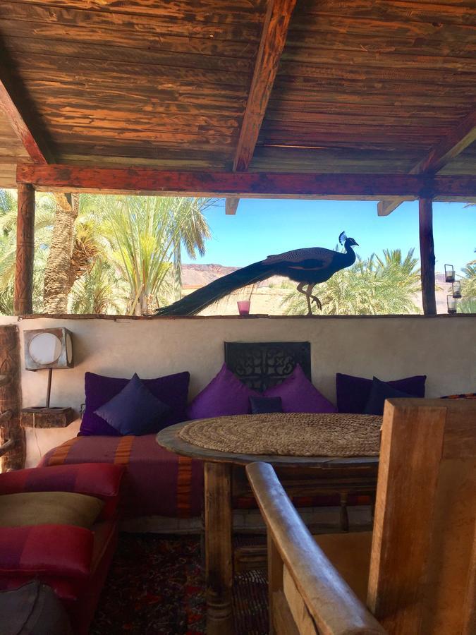 Ecolodge Bab El Oued Maroc Oasis Agdz Exteriör bild
