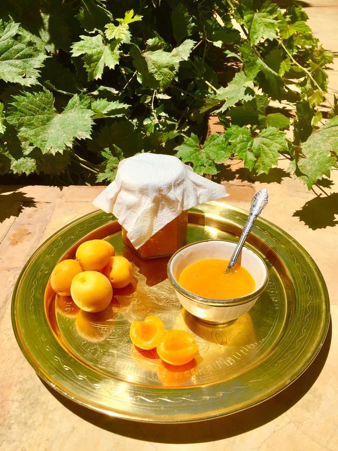 Ecolodge Bab El Oued Maroc Oasis Agdz Exteriör bild