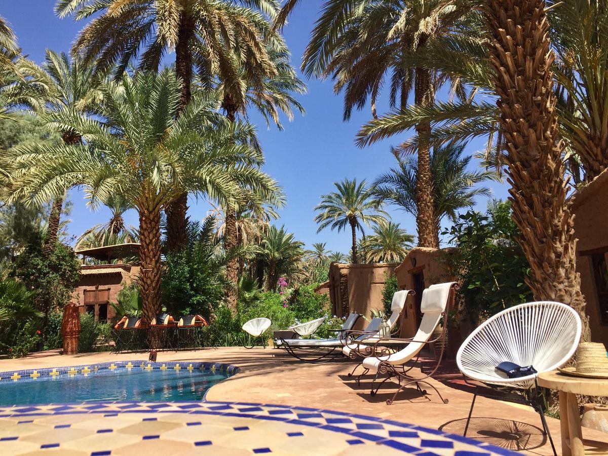 Ecolodge Bab El Oued Maroc Oasis Agdz Exteriör bild