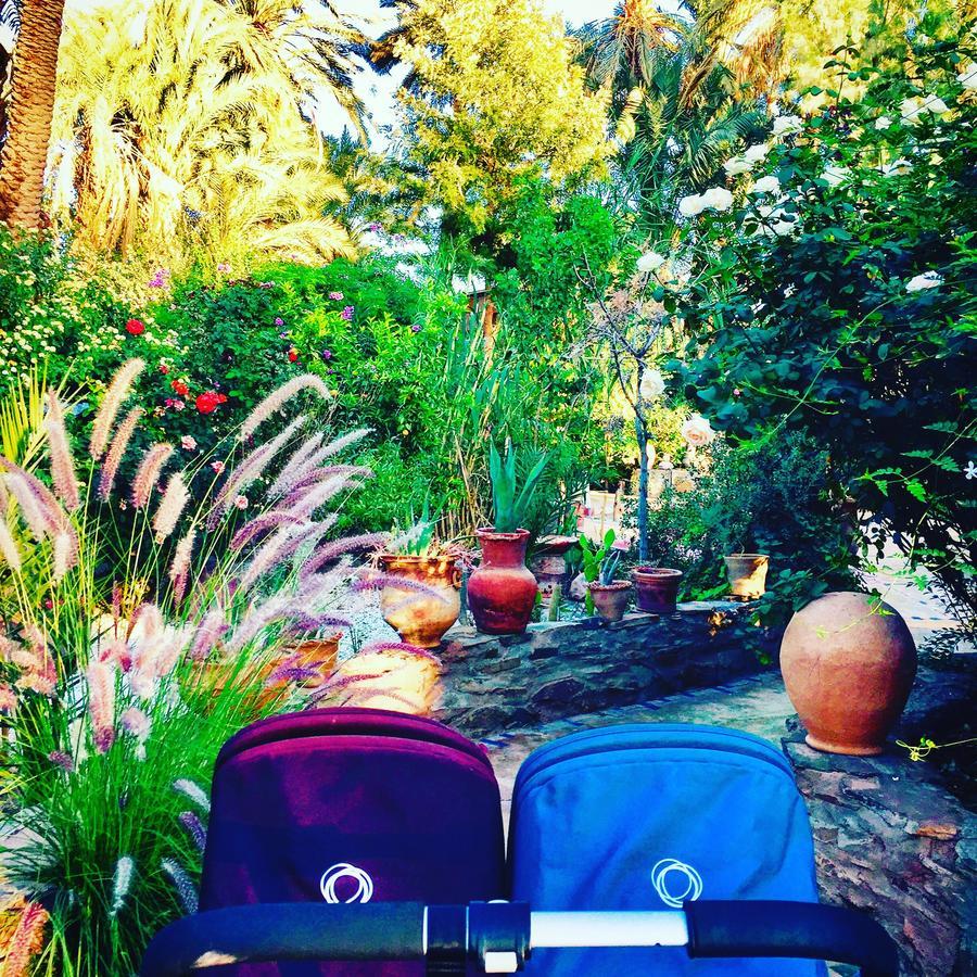 Ecolodge Bab El Oued Maroc Oasis Agdz Exteriör bild