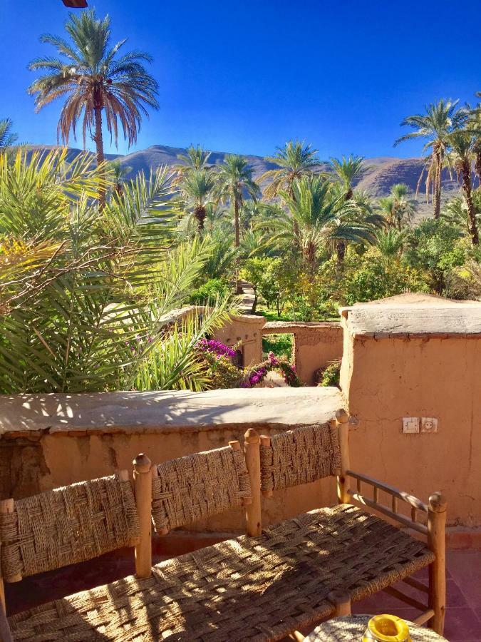 Ecolodge Bab El Oued Maroc Oasis Agdz Exteriör bild